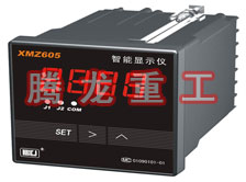 溫度表、數(shù)字顯示儀、濕度表