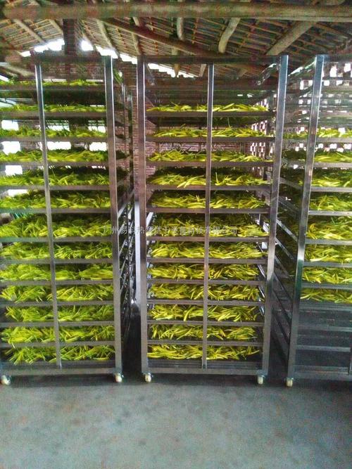 黃花菜烘干機、黃花菜烘干設(shè)備、黃花菜干燥機、黃花菜干燥設(shè)備、